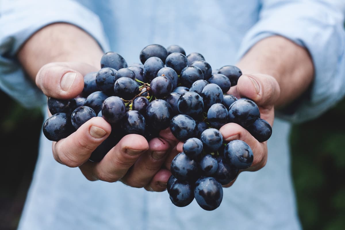 Valorisation des terroirs et des savoir-faire
